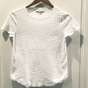 LOFT Cotton Short Sleeved Crewneck White Sweater